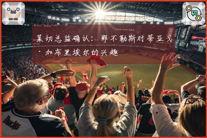 莱切总监确认：那不勒斯对蒂亚戈·加布里埃尔的兴趣