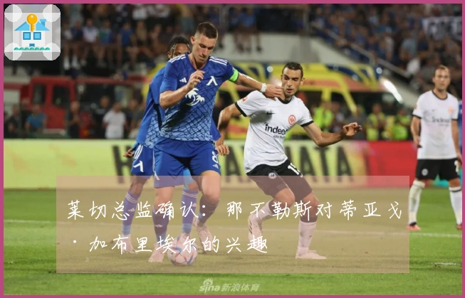 莱切总监确认：那不勒斯对蒂亚戈·加布里埃尔的兴趣