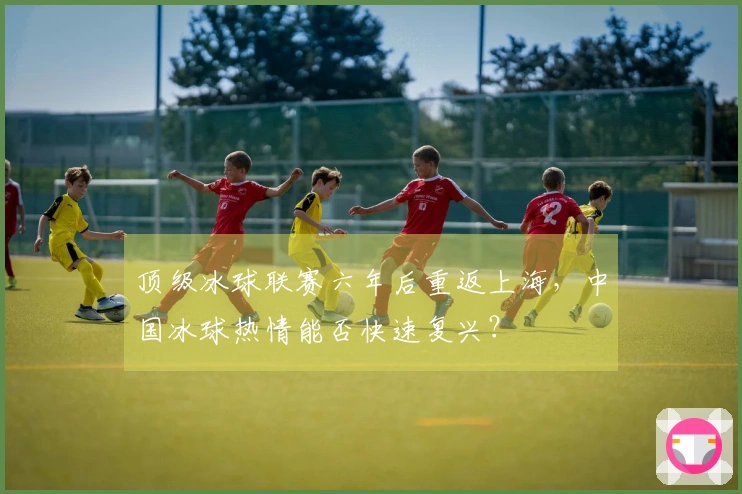 顶级冰球联赛六年后重返上海，中国冰球热情能否快速复兴？